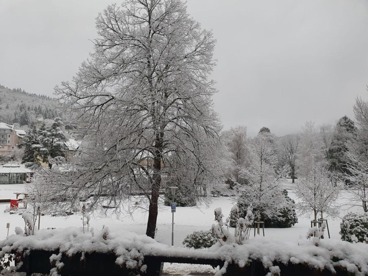 Am Klosterviertel Daire Bad Herrenalb Dış mekan fotoğraf