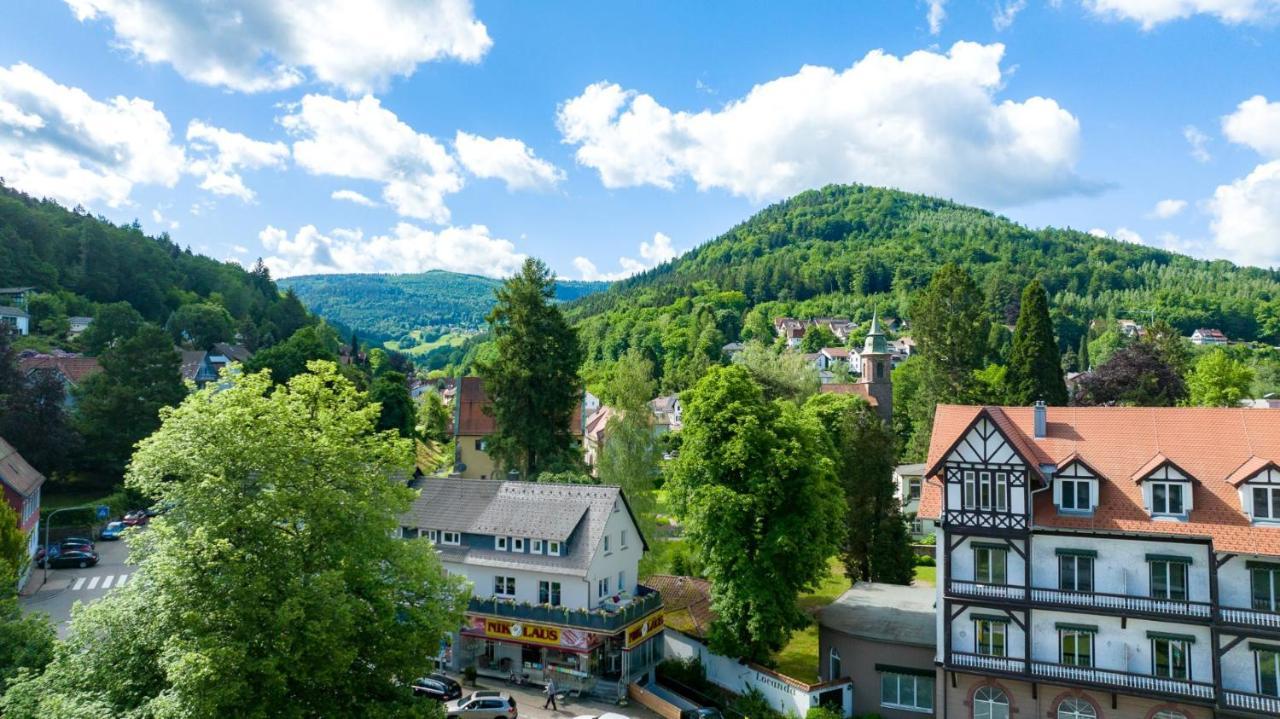 Am Klosterviertel Daire Bad Herrenalb Dış mekan fotoğraf